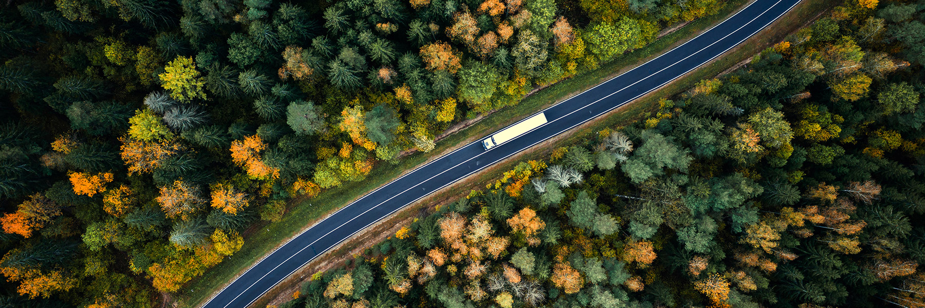 beeld van vrachtwagen die door bos rijdt