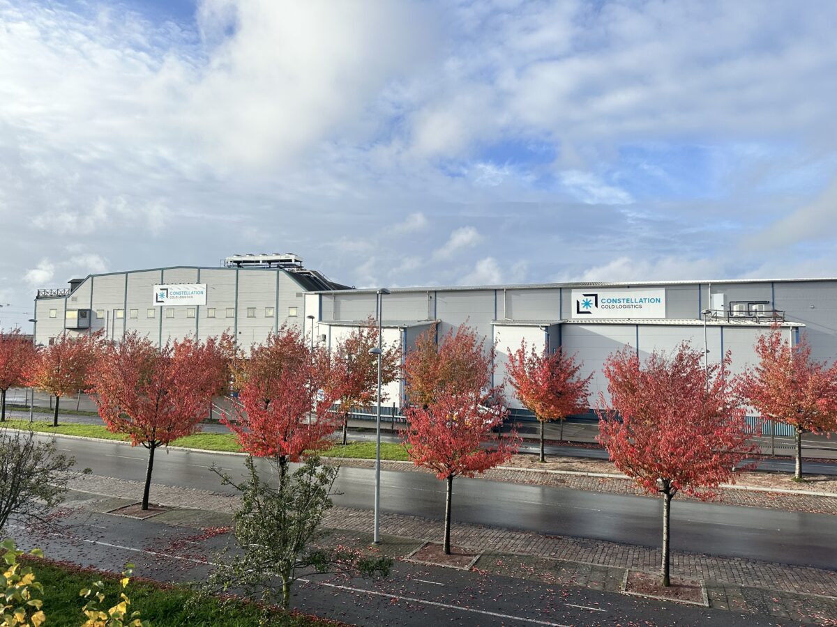 Afbeelding 2916 Höst