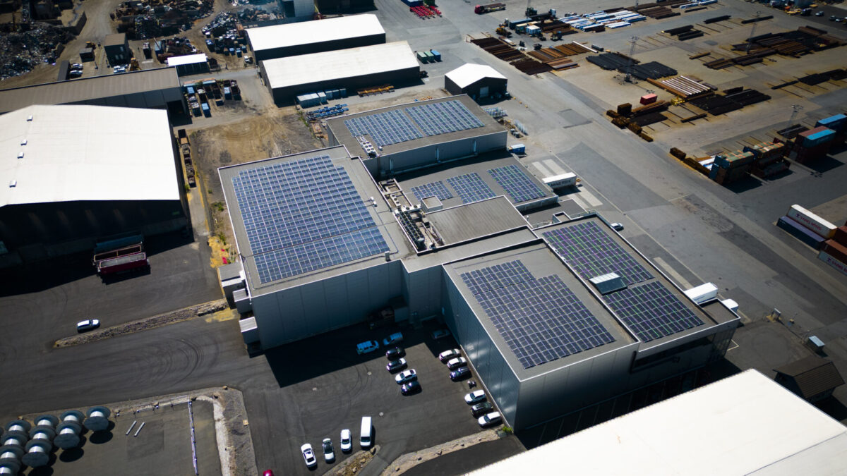 Netzero Article Image